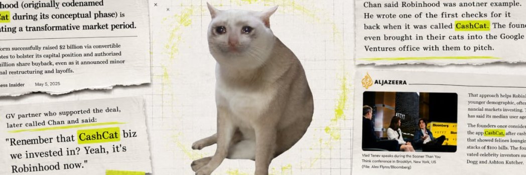 CashcatTreasury's profile banner image