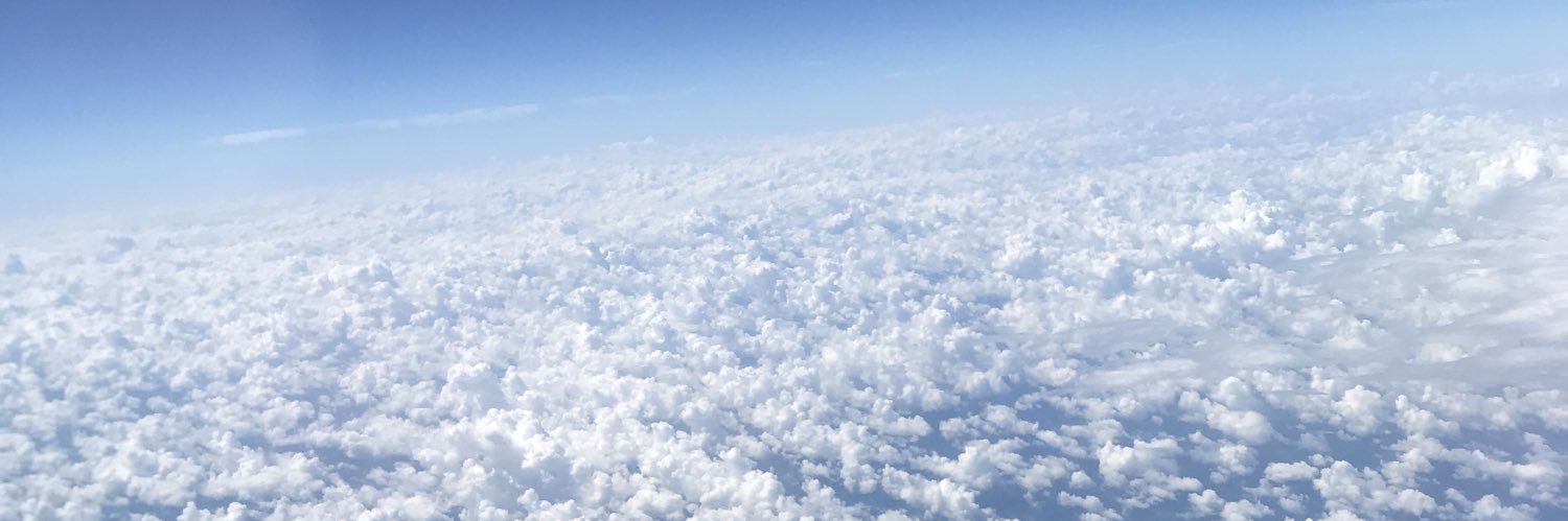 LillyLtm's profile banner image