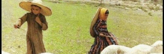 - banner
