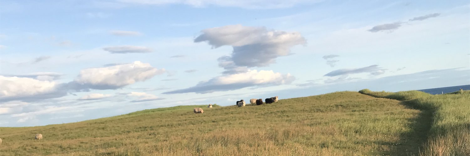 postmodern prometheus banner