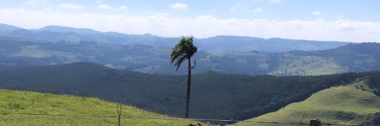 perondifmarcos's profile banner image