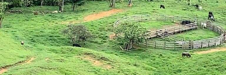 César Morales banner