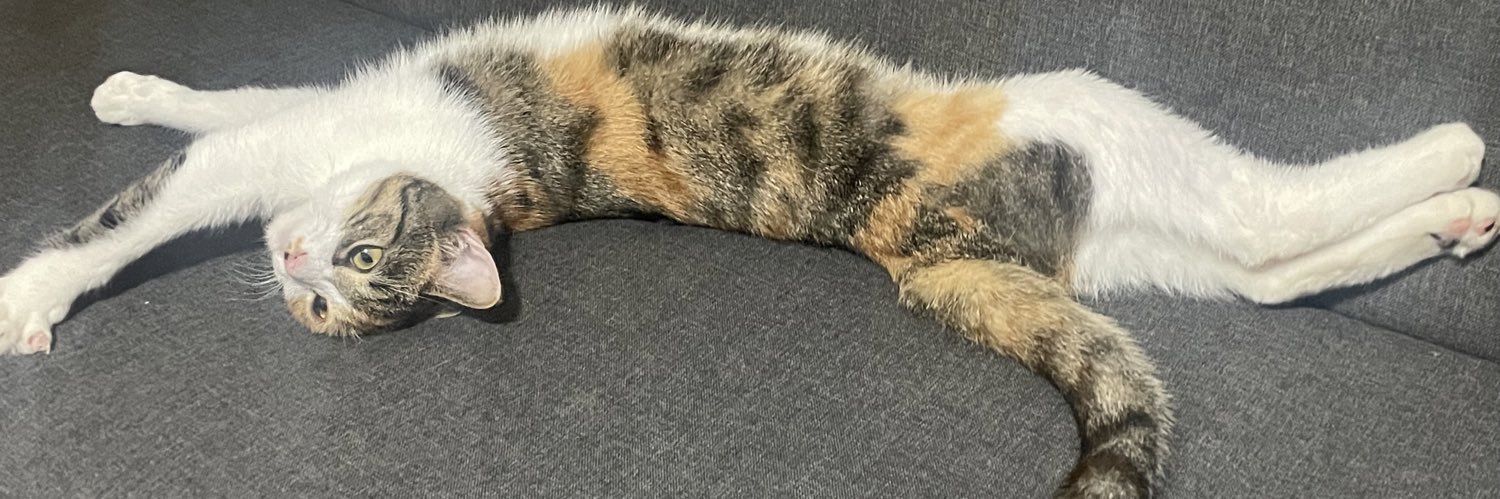 もうすぐ帰国するDaisuke@上海 banner