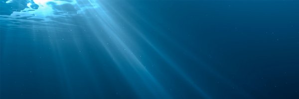 theblueparadox Profile Banner