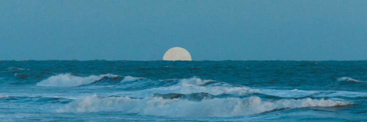 ᴋɪᴛᴛᴇ banner