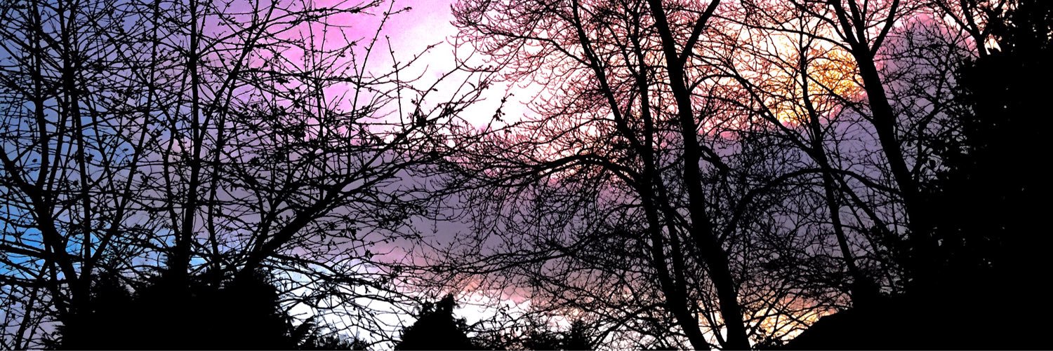Shanemcandrew5's profile banner image