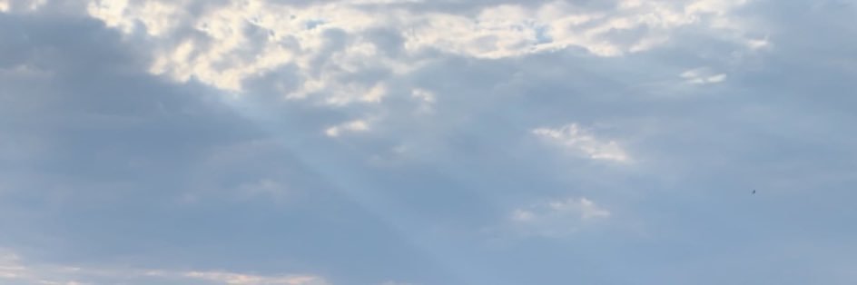 RaghadMou1's profile banner image