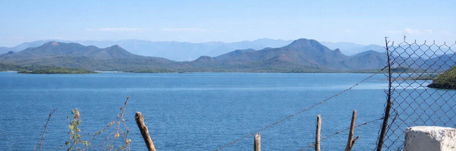amaliasalgado's profile banner image