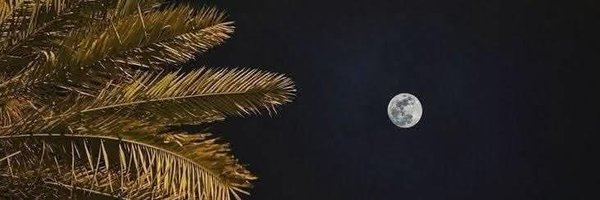 Ebn_ElQonsol202 Profile Banner