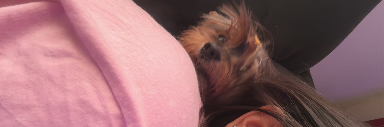 roquejuliaa's profile banner image