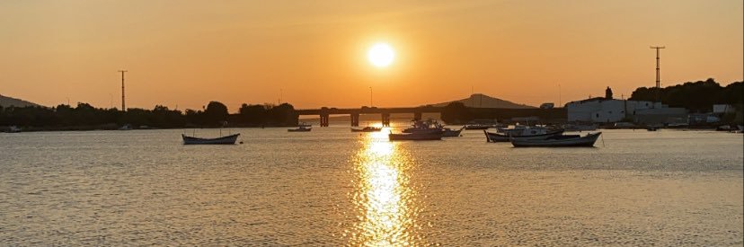 sude_orall's profile banner image