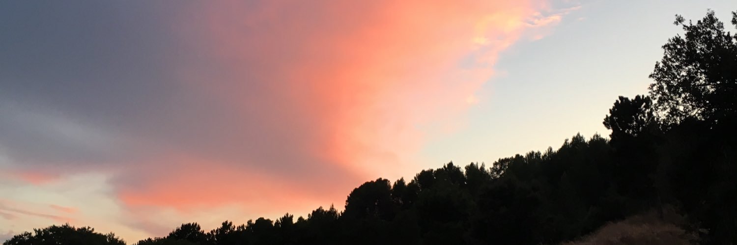 ele_rothen's profile banner image