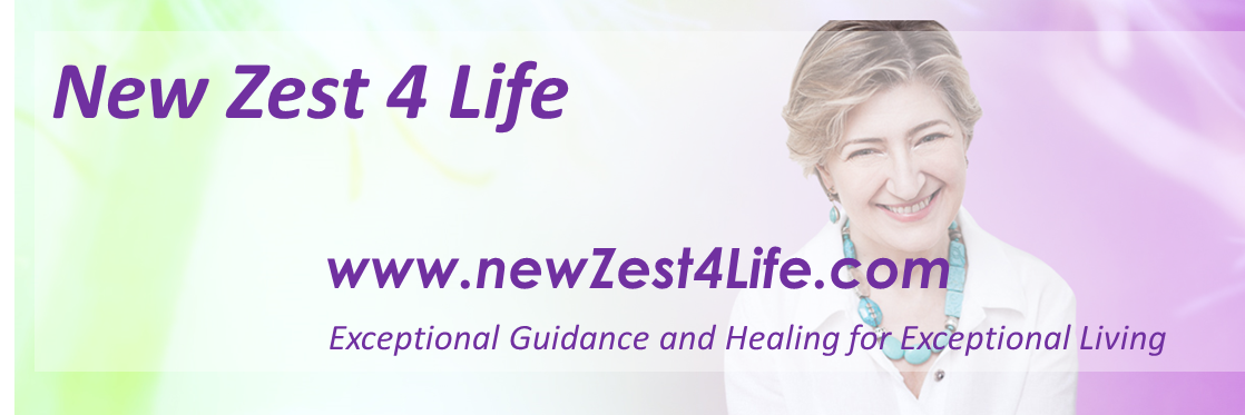 New Zest 4 Life banner