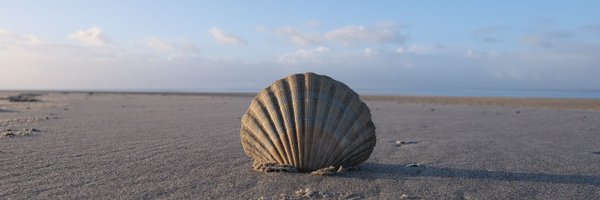 rv59268 Profile Banner