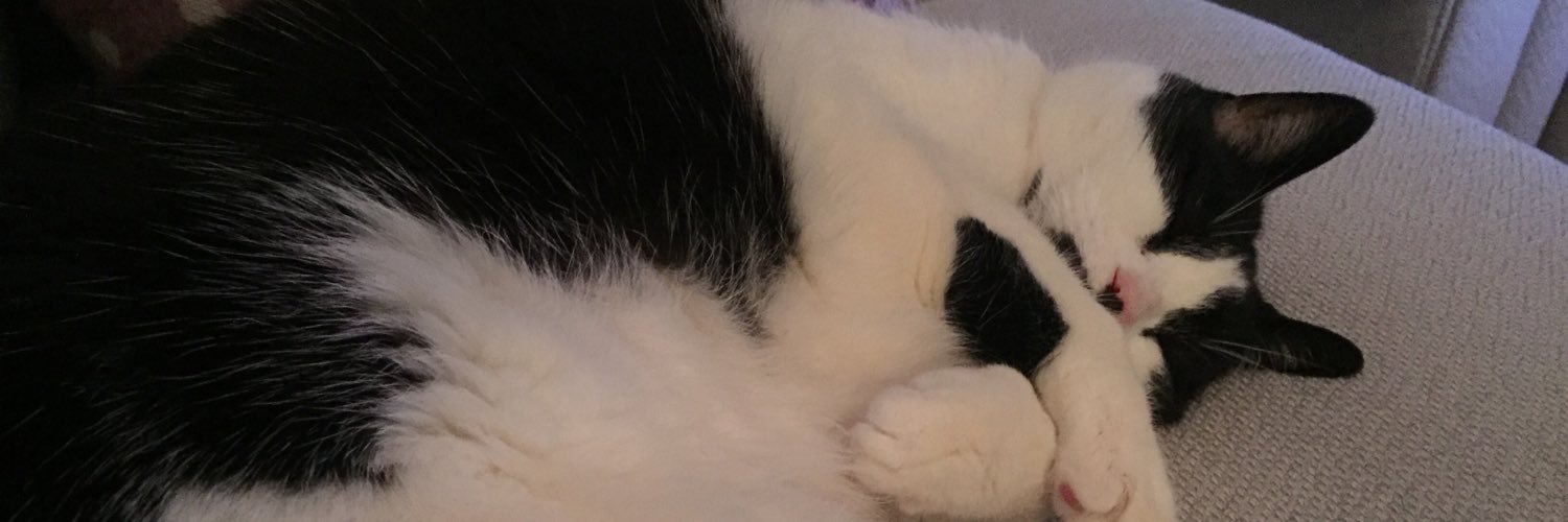 tammini25's profile banner image
