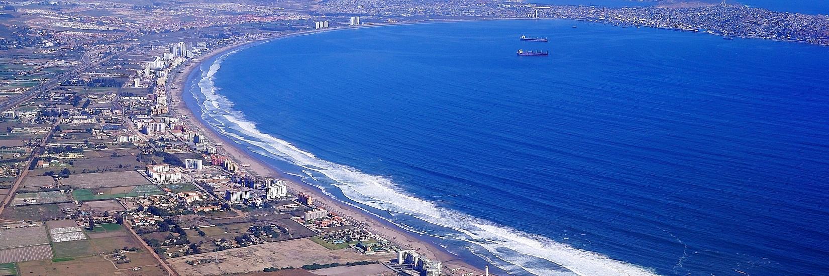 Mauricio Leandro Bertero banner