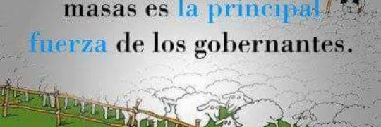 NECO. banner