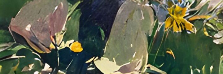 abcdamay22's profile banner image