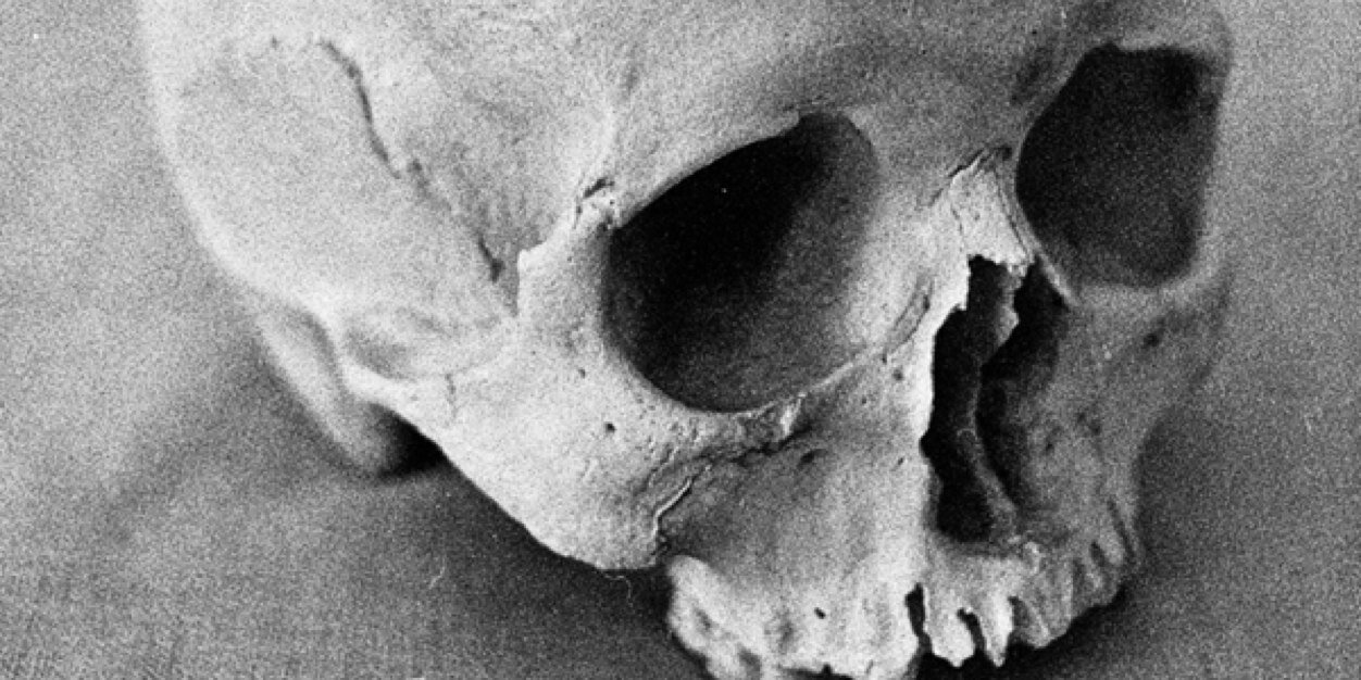 Fingers 🇺🇸 banner