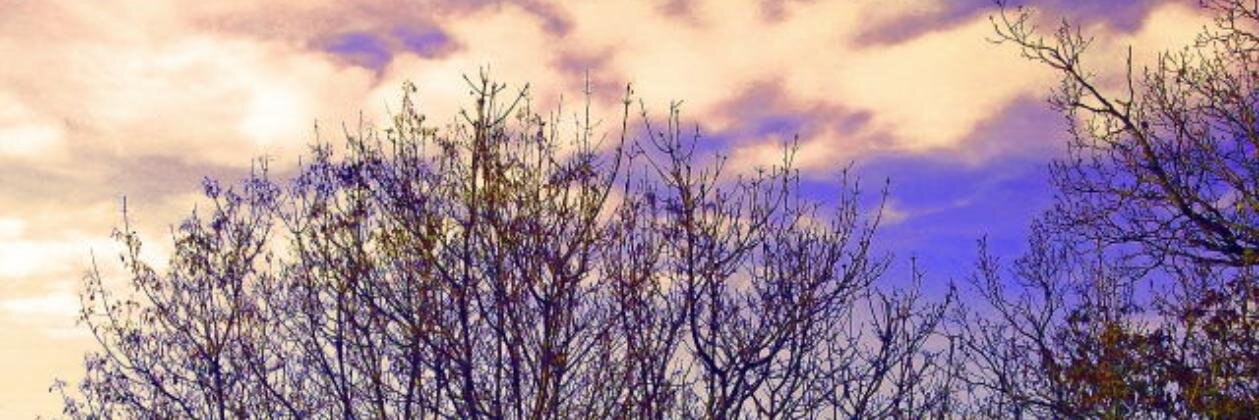 dipienne's profile banner image
