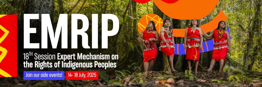 Indigenous Peoples’ Rights International - IPRI's banner
