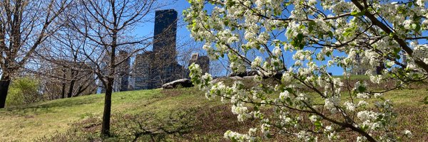 Elsa2Bernard Profile Banner