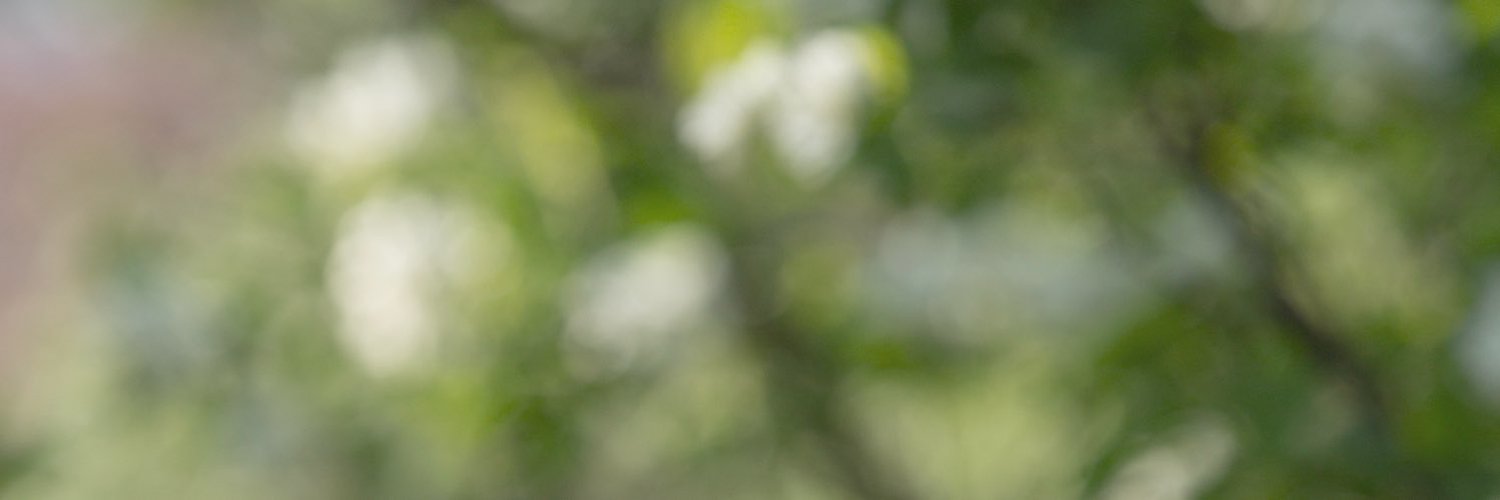 한사 banner