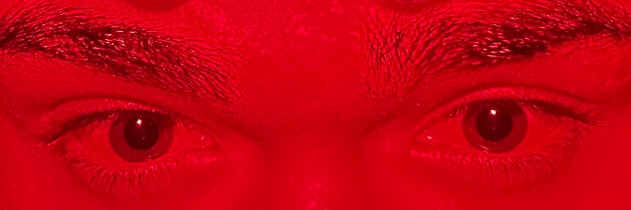 botti banner