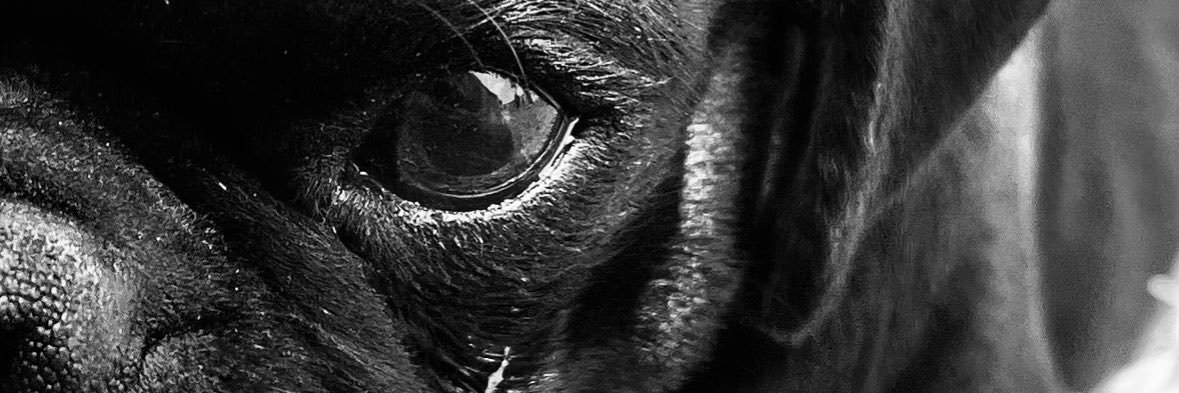 zugavid's profile banner image