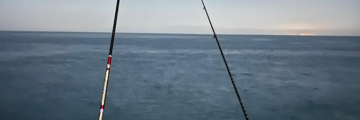 albe_dm's profile banner image