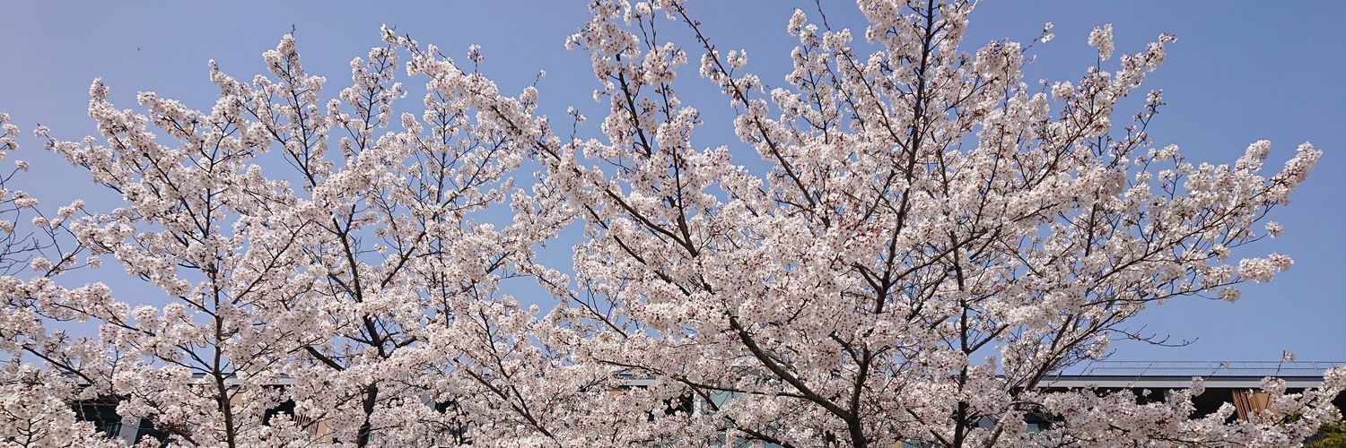 Taka___0327's profile banner image