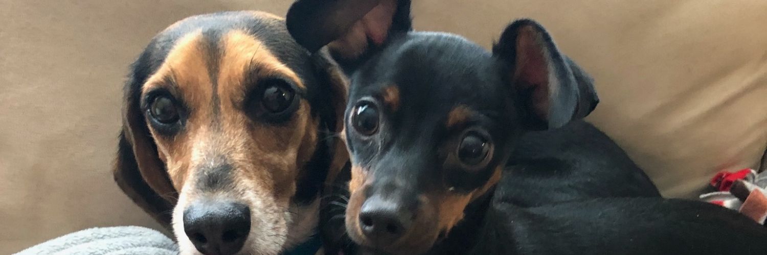 kylie_twining's profile banner image