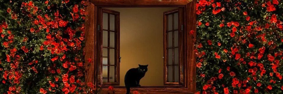 ★ 𝗻𝗮𝗻𝗮 𝗯𝗮𝗻𝗮𝗻𝗮 ★ banner