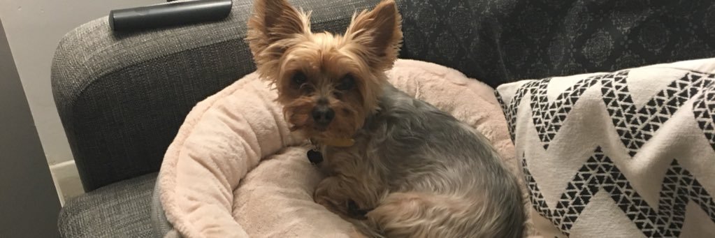 JessicaBerri's profile banner image