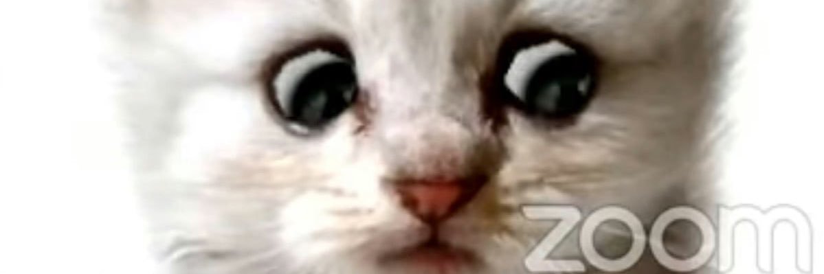 Narc Whalberg banner