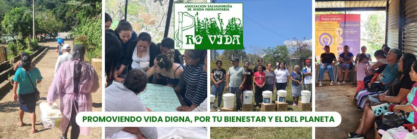 PRO-VIDA banner
