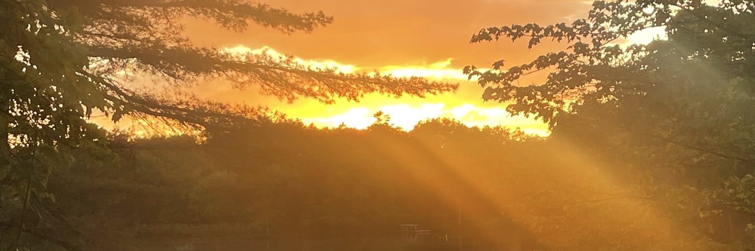 lizzieb784's profile banner image