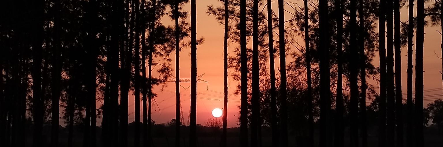 Berelopp's profile banner image