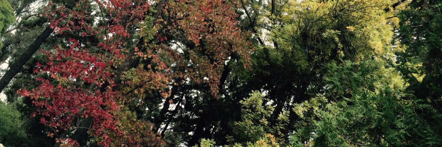 PrensaQuilpue's profile banner image