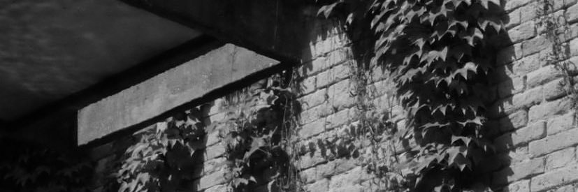 merccvry's profile banner image