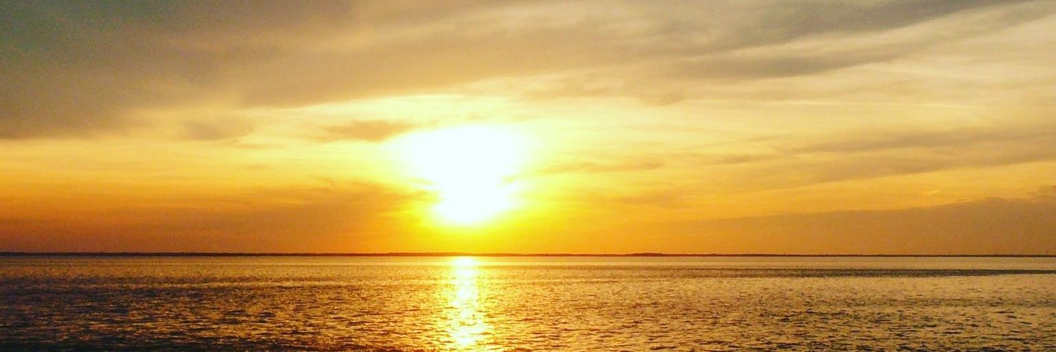 BunyonSean's profile banner image