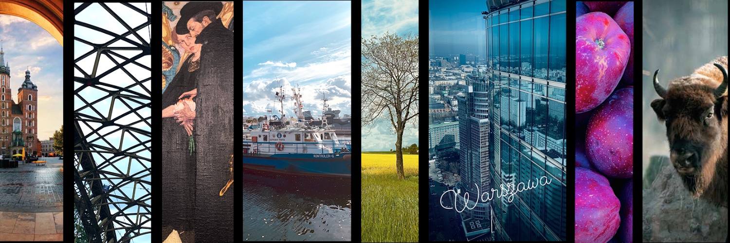 State of Poland 🇵🇱 banner