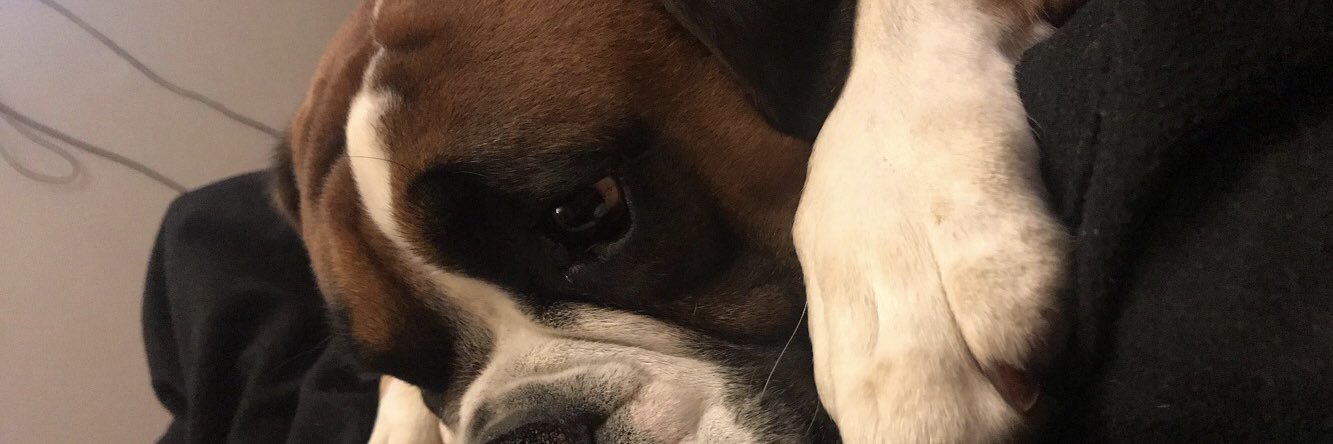 GaultchloeGault's profile banner image