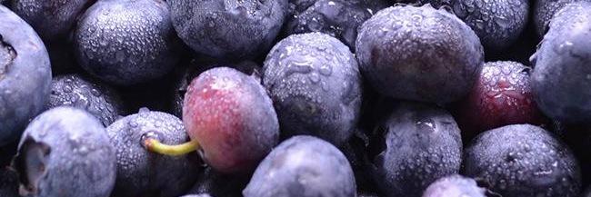 HomesteadFrmMkt's profile banner image