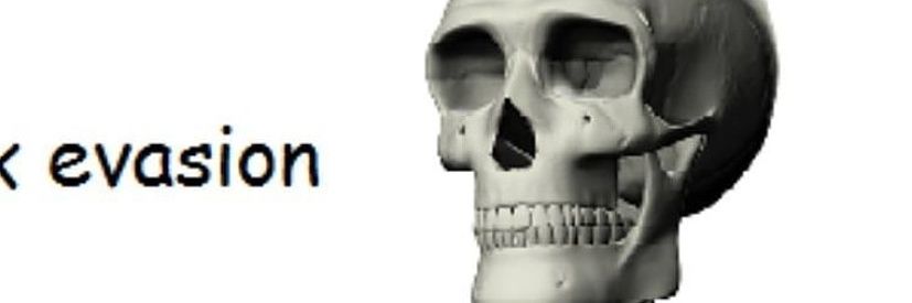 Caiden banner
