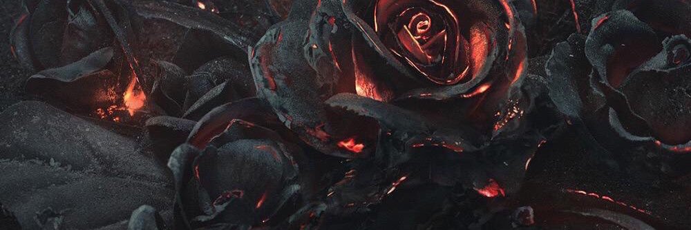 ptyan2846's profile banner image