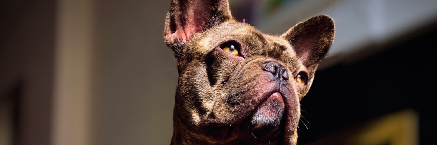 cherrellehobbs's profile banner image