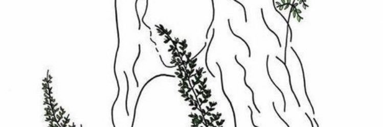 valeriamln_'s profile banner image