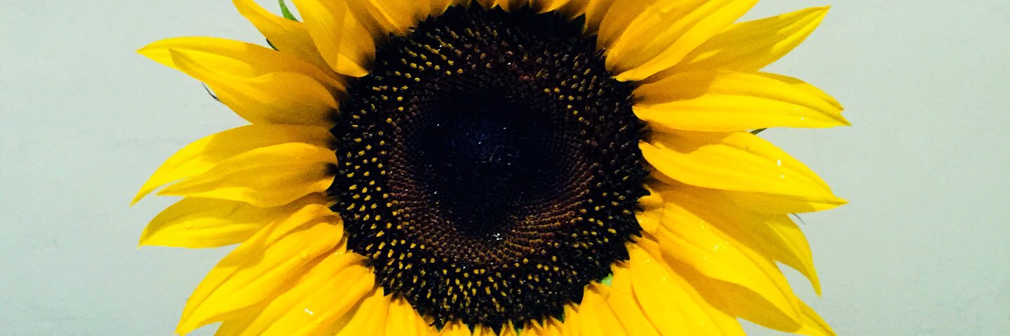 DilenyC_'s profile banner image
