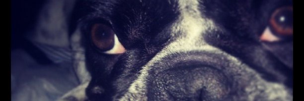 Titooyuri's profile banner image